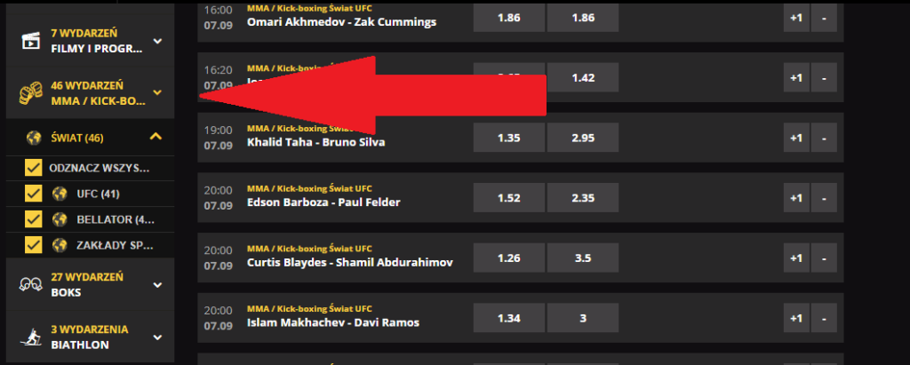 MMA w LVbet
