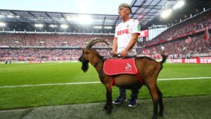Typ dnia: Hoffenheim – FC Koln